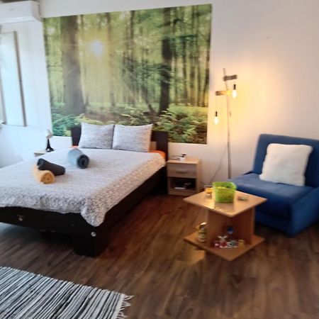 Car Lazar Apartment Bělehrad Exteriér fotografie
