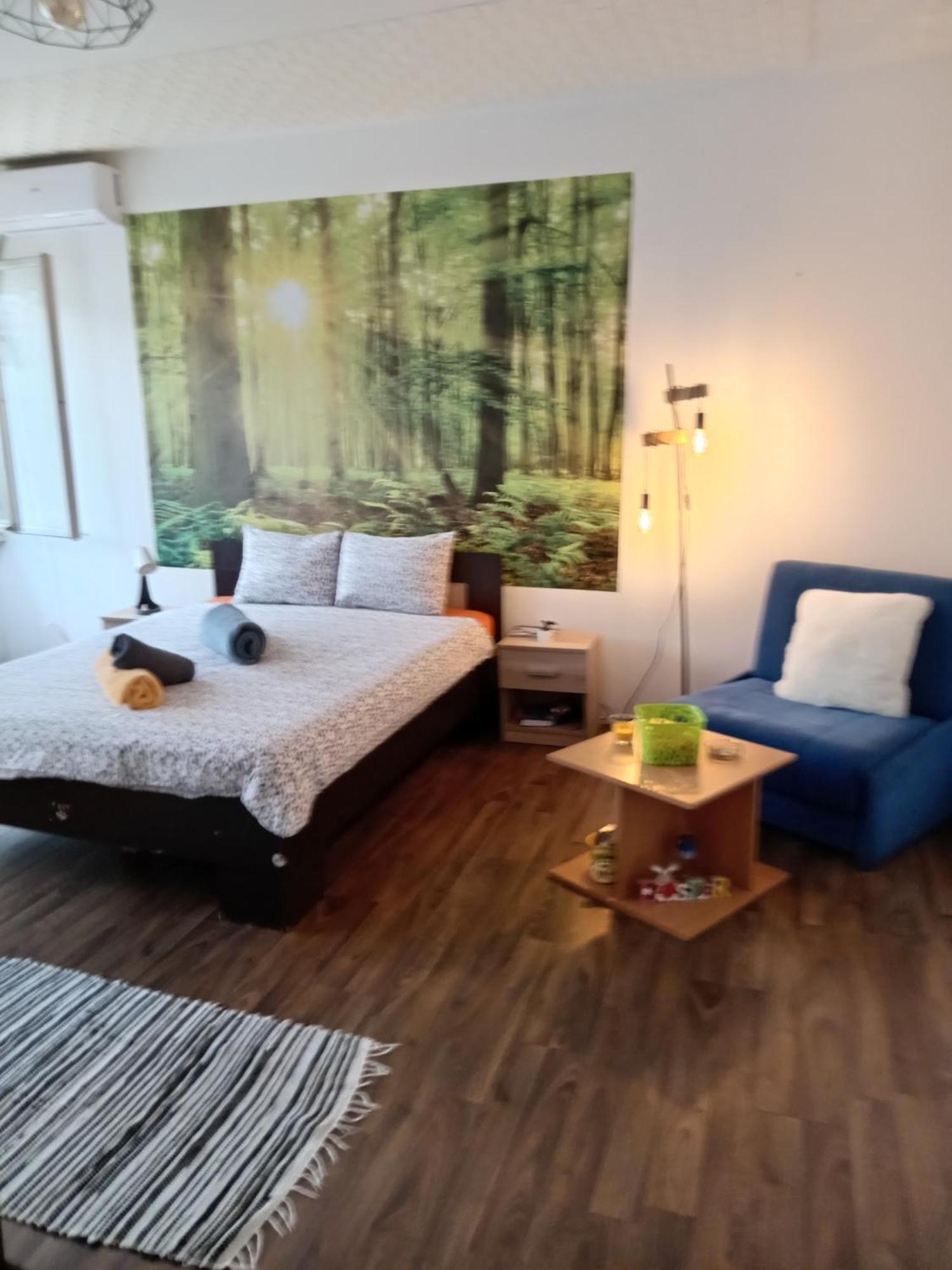 Car Lazar Apartment Bělehrad Exteriér fotografie